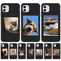 case for iphone 11 12 13 pro max case silicon cover iphone xr 12 13mini xs x 7 8 plus se 2020 6 s cute funny animal black cover