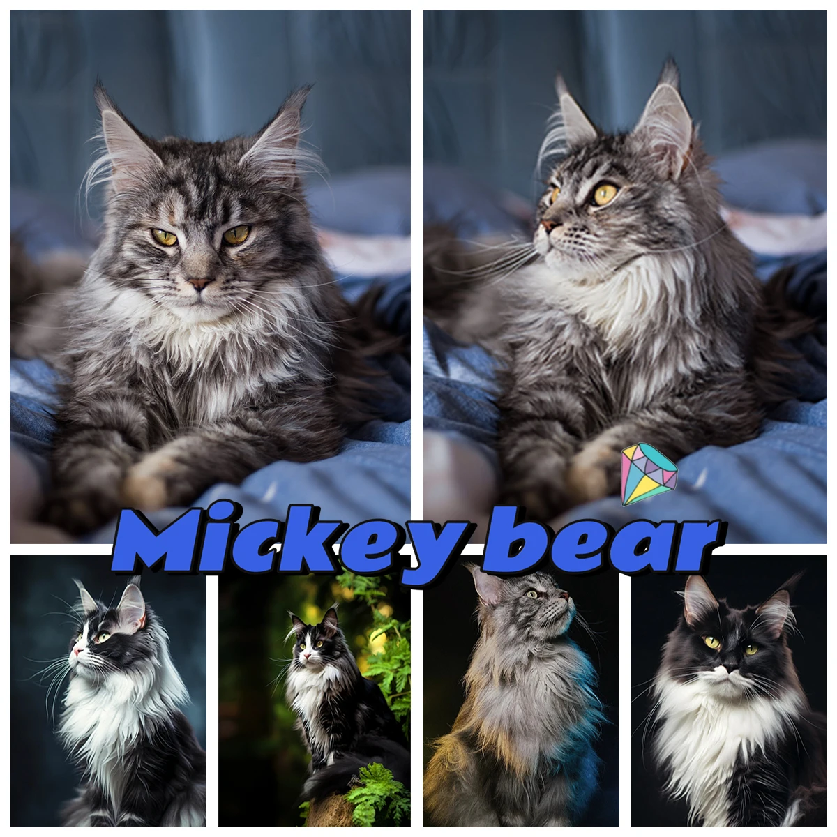 Картина из страз с изображением милого котенка