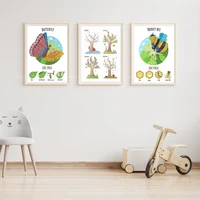 life cycle of bees and butterflies educational wall art nursery wall decor canvas print poster