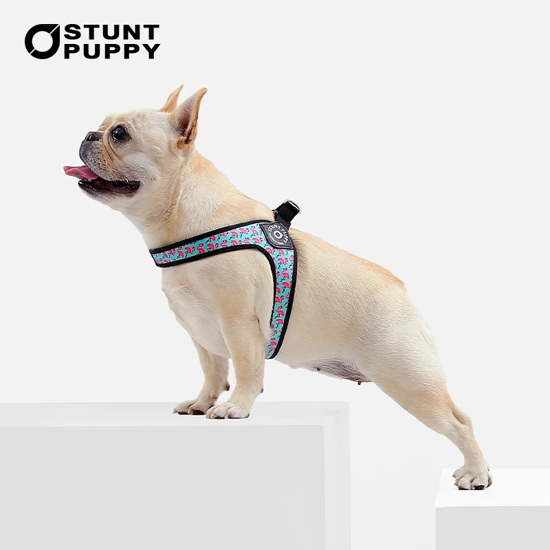 

Stunt Puppy Small Pet Dog Harness Flamingo Printed Pattern Chihuahua Shih Tzu Bulldog Pug Cat Pets Seat Belt Supplies Dogs Chain