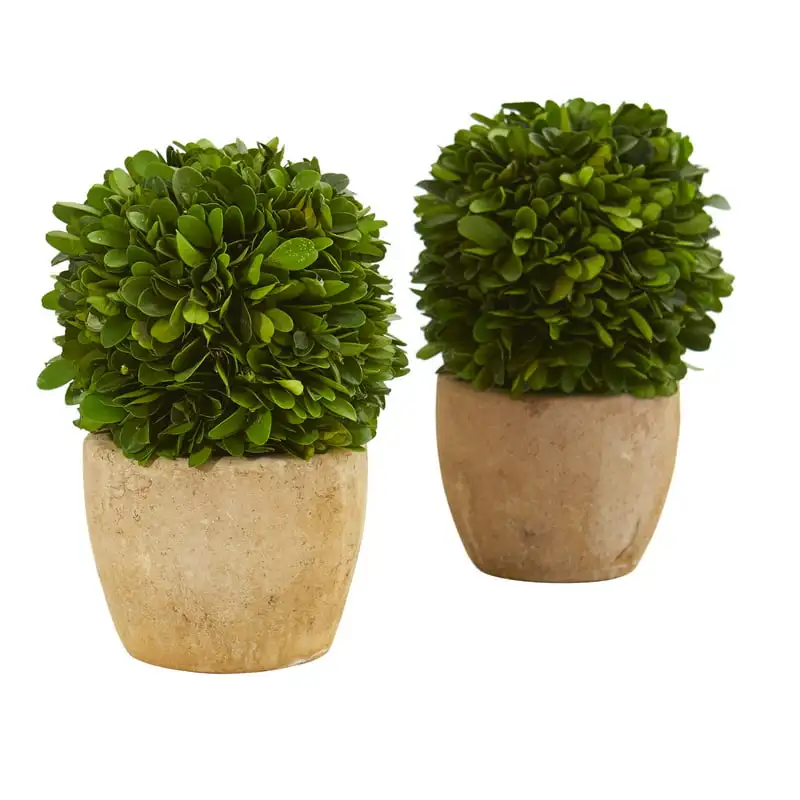 

7" Plastic and Polyester Boxwood Artificial Plant in Decorative Planter (Set of 2)
