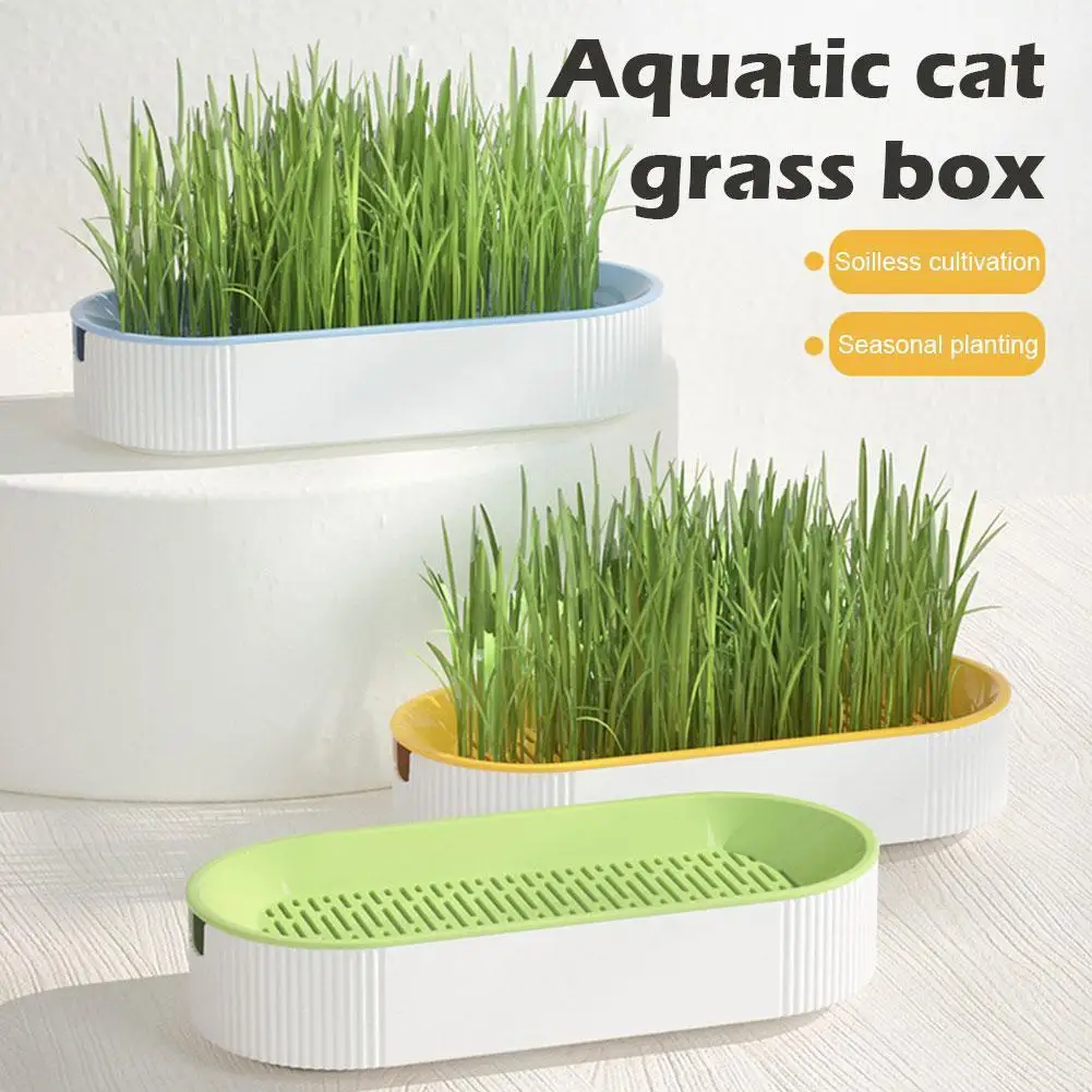 

Soilless Culture Cat Grass Planting Container, Hydroponic Planter Growing Pot Plants Grass Cat Hydroponic Planting Nursery G5M0