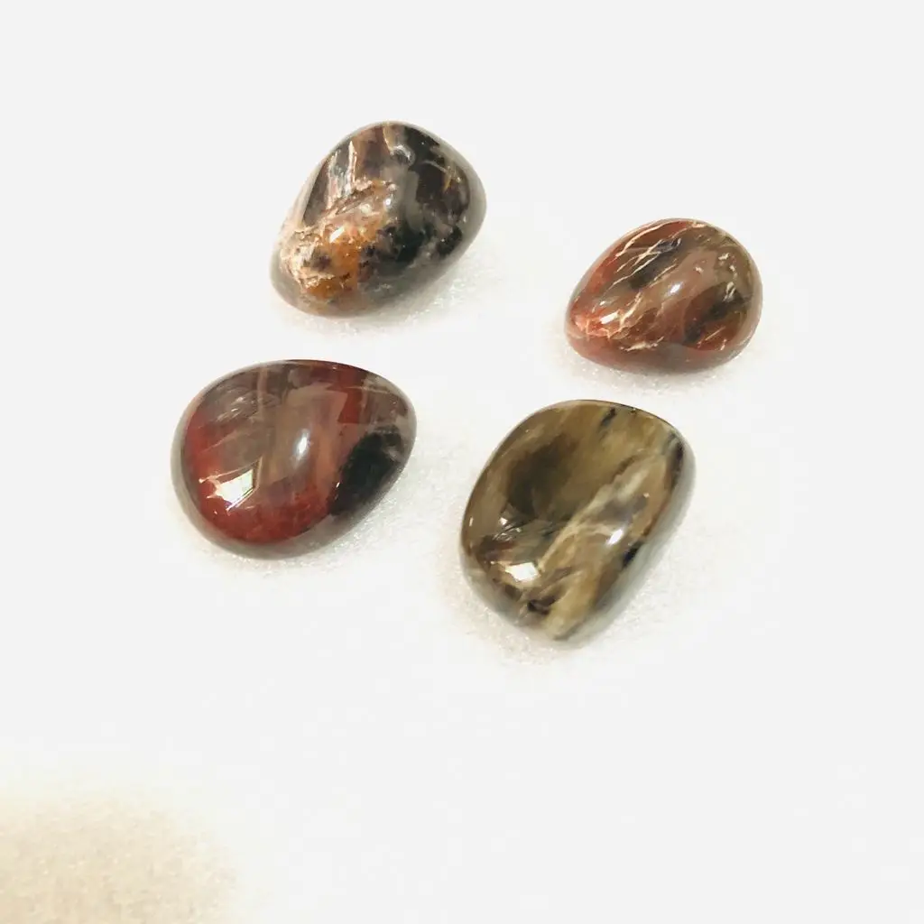 Оптовая продажа 4 шт. полированное окаменелое дерево яшма морское стекло камни