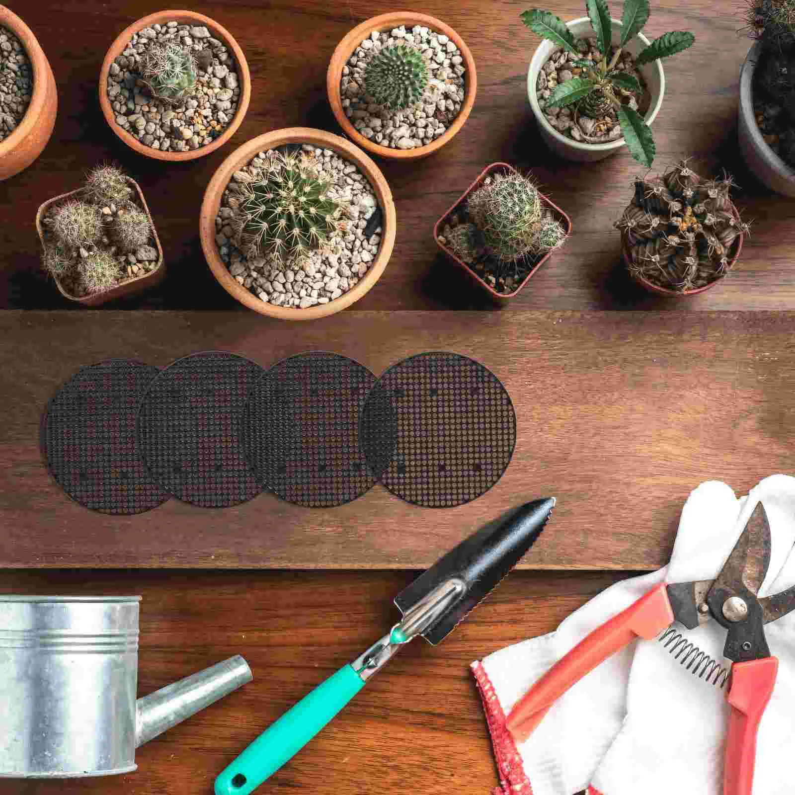 Suculentas Суккуленты Растения Цветочный горшок Нижняя сетка Горшки для цветов