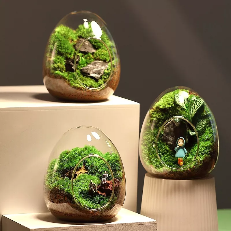 Креативные стеклянные бутылки в форме яйца, стеклянная ваза для суккулентов, вещь для гидропоники, искусственное стекло, украшение для дома