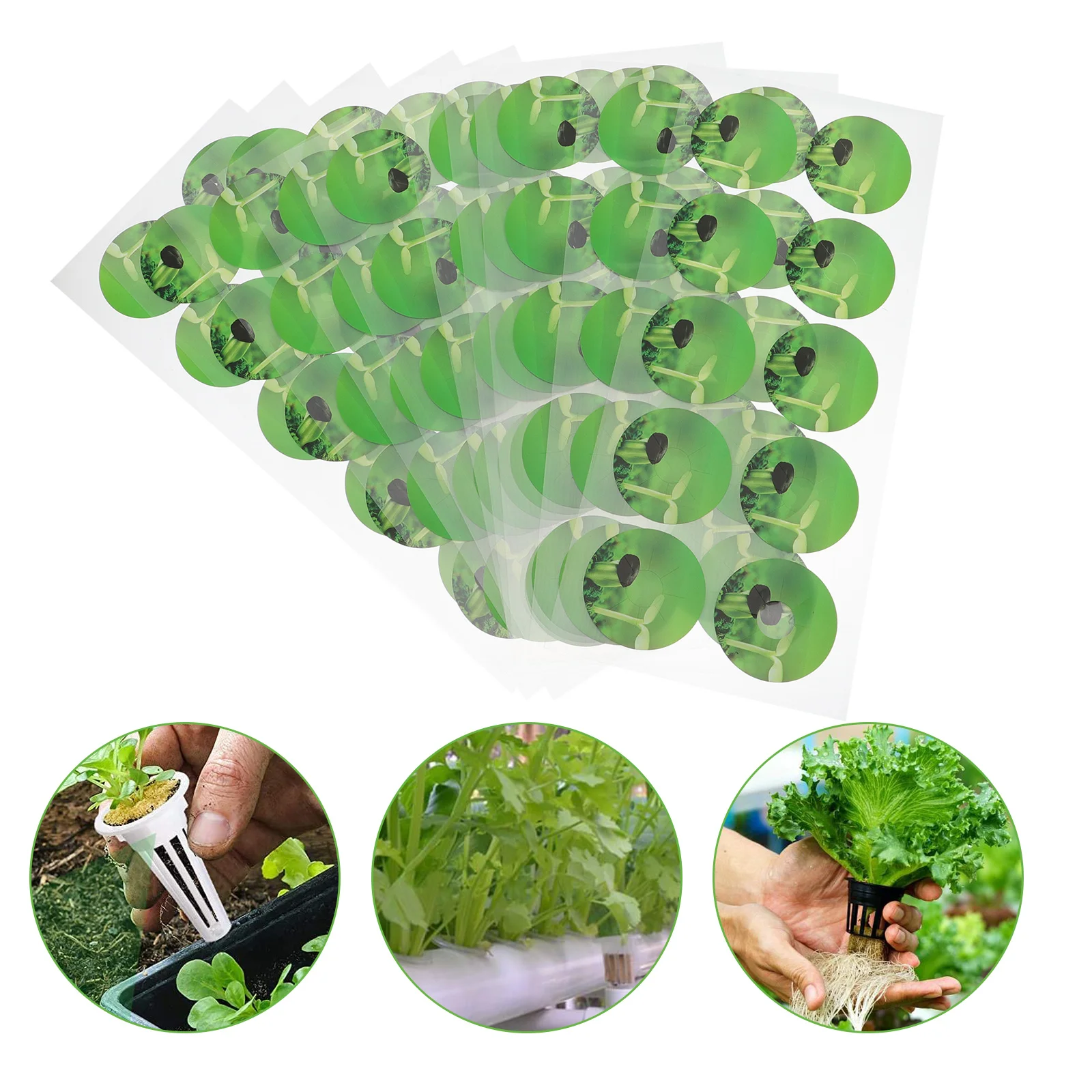 

Labelsticker Pot Labels Garden Grow Hydroponic Stickers Basket Baskets Accessories Podsmarker Sticke Supplies Stick Peelround ​