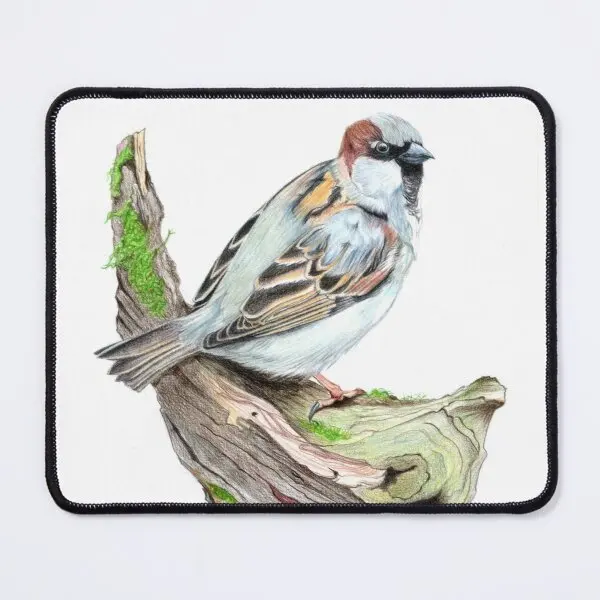 Male Sparrow  Mouse Pad Computer Anime Desk Gaming Mousepad Mat PC Keyboard Gamer Play Mens Printing Table Carpet
