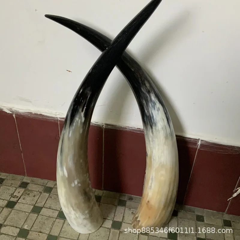 Рог для крупного рогатого скота с изображением черепа яка