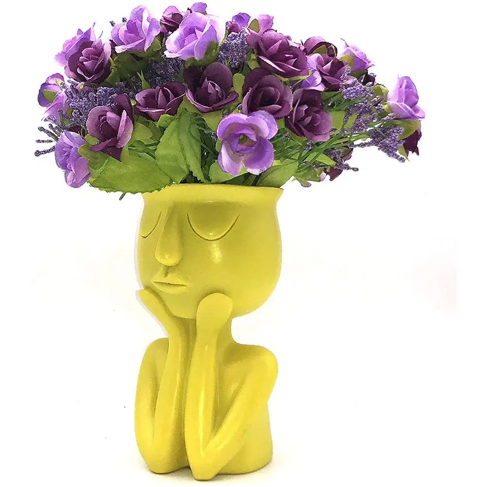 Смола сочные плантатор горшок голова лицо цветок растение ваза домашний сад