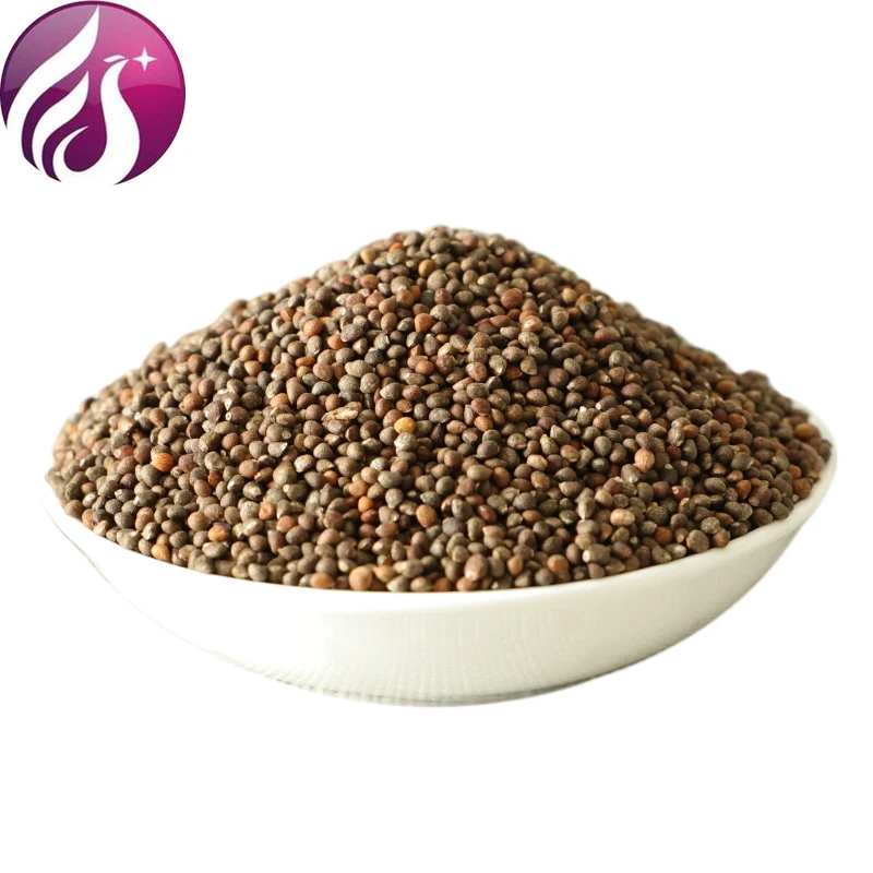 

Perilla, Edible, Perilla, Perilla, Medicinal Materials, No Sulfur,zisuzi
