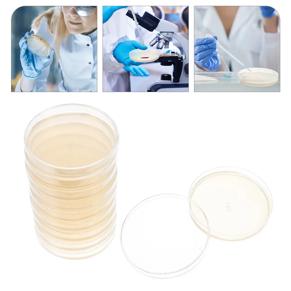 

Agar Petri Plates Dish Dishes Science Nutrient Plate Kits Kit Malt Extract Laboratory Experiment Mushroom Supplies Dextrose