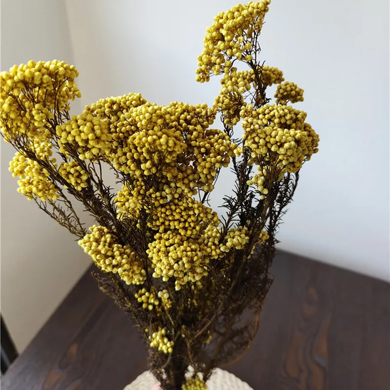 50g Natural Millet Fruit Dried Flower Artificial Flowers Living Room Decoration Christmas Decorations For Home 2022 Pampas images - 6