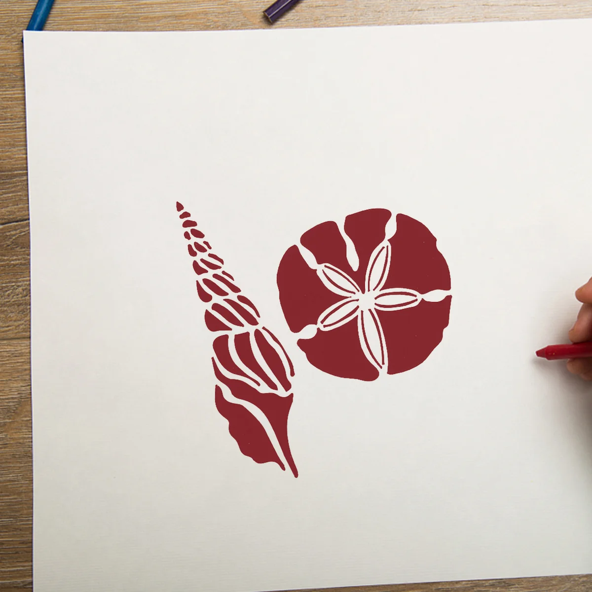 

8 Pcs Starfish Seahorse Shell Cutout Painting Template Hollow Stencils Toddler Chalk Stretch Drawing Templates The Pet Pupils