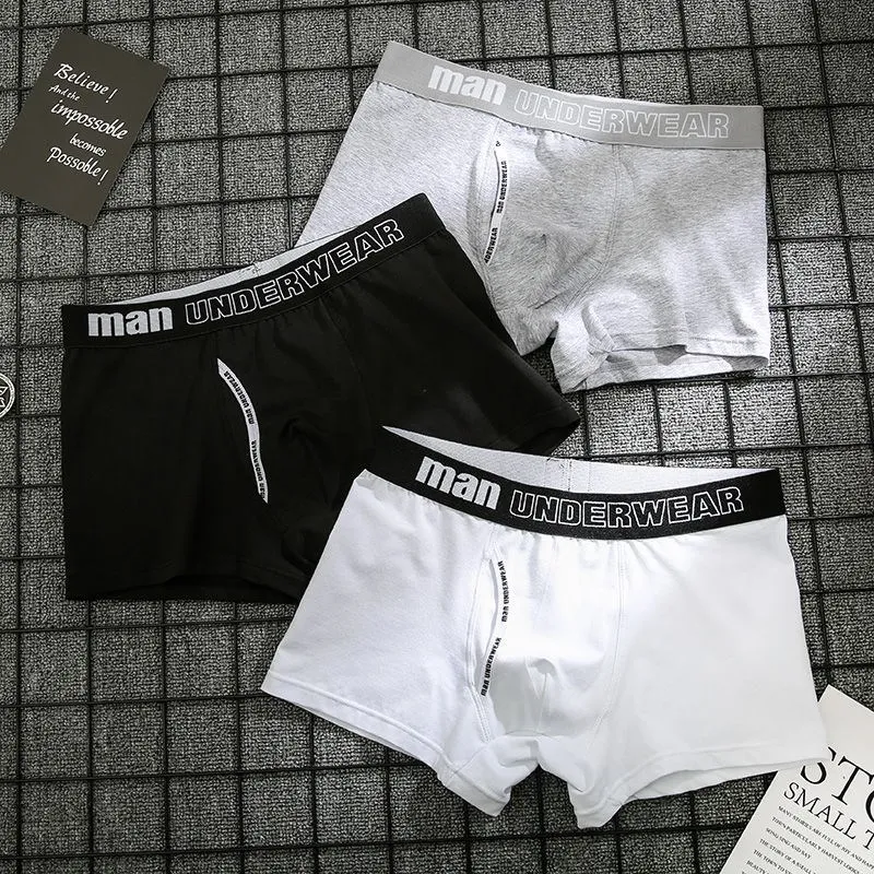 6pcs/Lot Cotton Mens Underpants Soft Boxer Men Breathable Solid Underwear Flexible Boxershorts Cuecas Vetement Homme 365