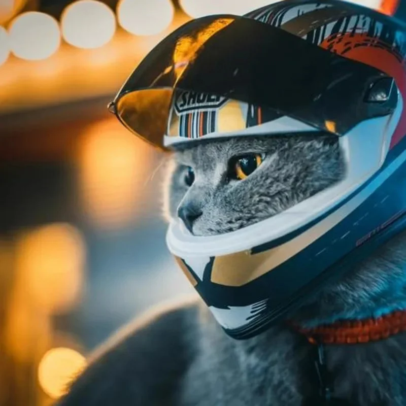 Мотоциклетный шлем для маленьких кошек и собак защитная мини-шляпа домашних