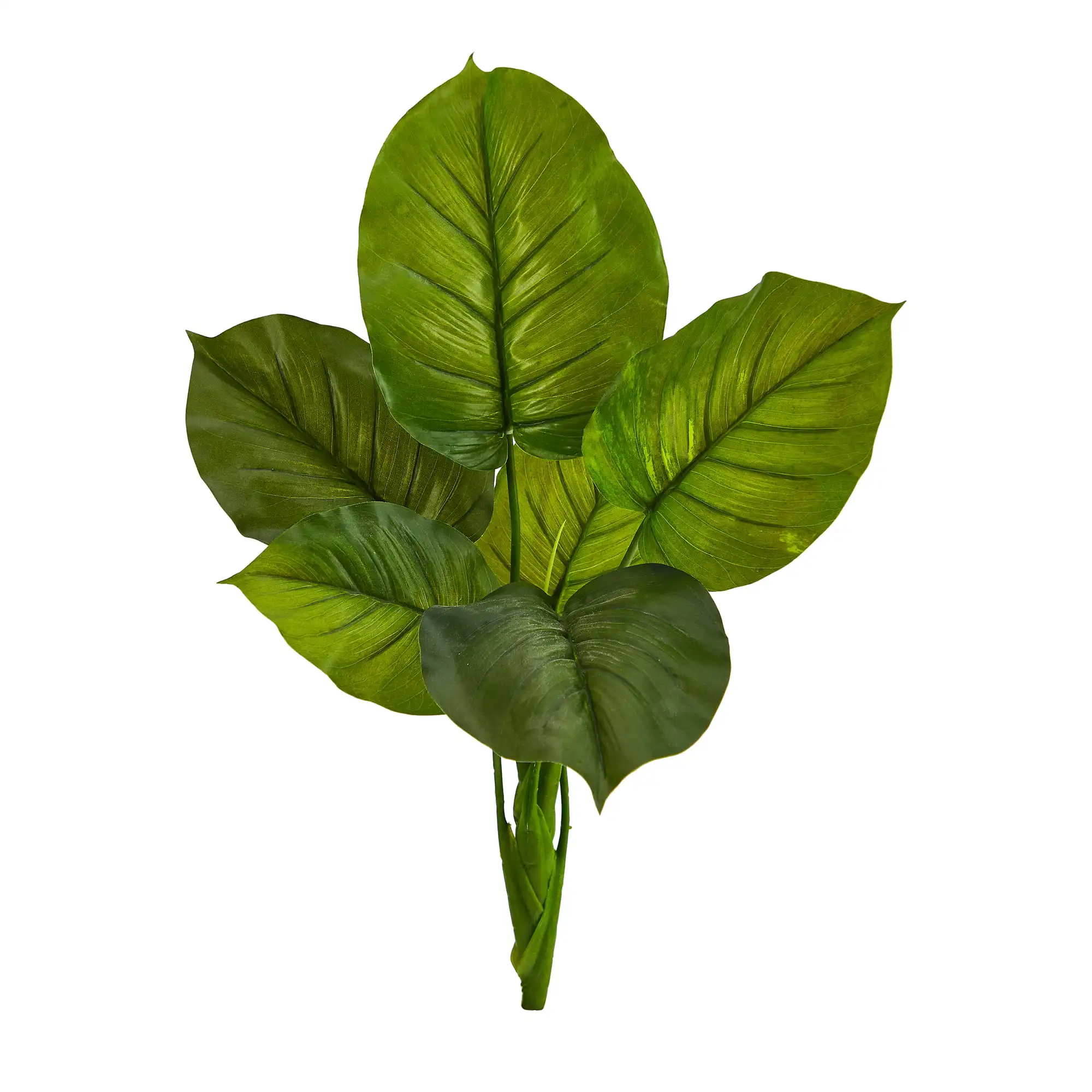 

Большой Philodendron Фотофон 27 дюймов (набор из 4 шт.), зеленый