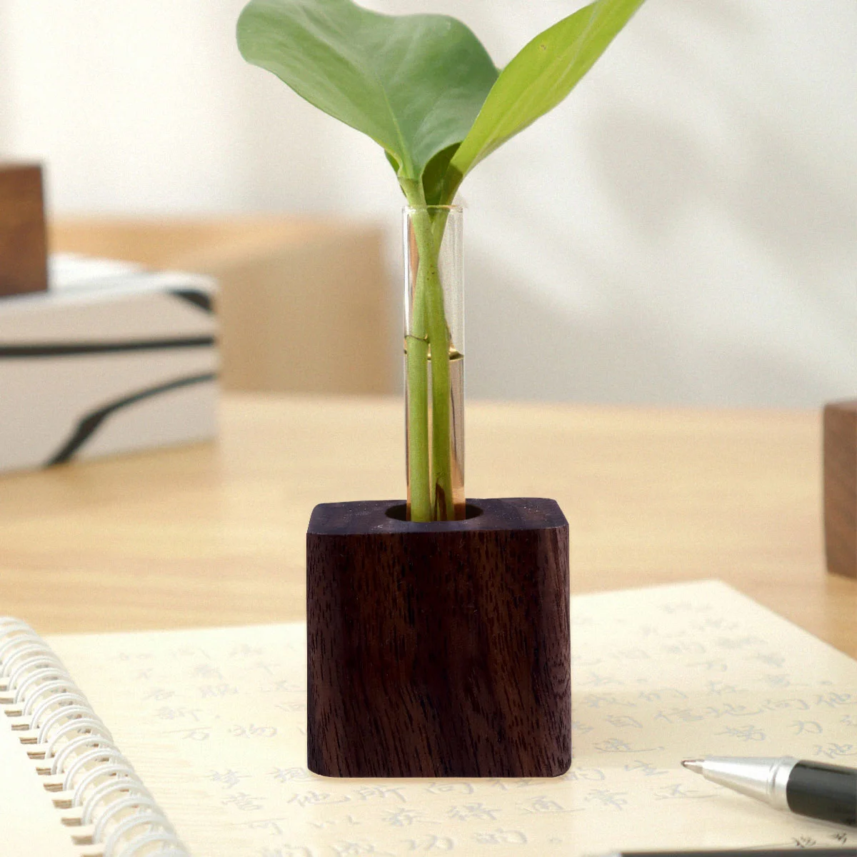 Ваза Стеклянная пробирка Деревянное основание Украшение стола Свежий цветочный