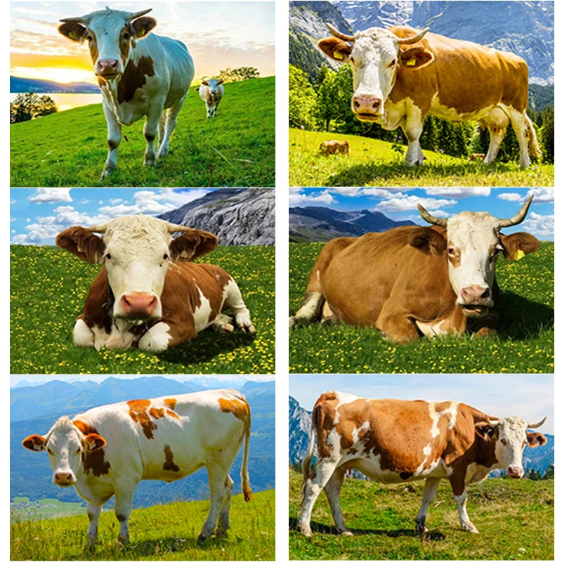 

Набор для вышивки крестиком «сделай сам», животное, тигр, живопись, украшение для дома, настенная живопись ручной работы, новый подарок, сери...