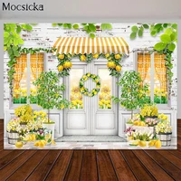 lemon store backdrops for photography newborn baby kids portrait photographic studio photo backgrounds white wall wooden door