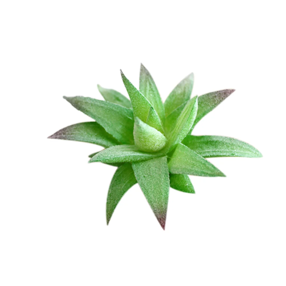 

5 PCS The Office Ornaments Succulents Ornament Succulants Bookshelf Decor Artificial Succulent Succulent Stems Decorate