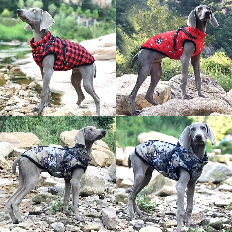 

2023 Large Pet Dog Jacket With Harness Winter Warm Dog Clothes For Labrador Waterproof Big Dog Coat Chihuahua French Bulldog Out