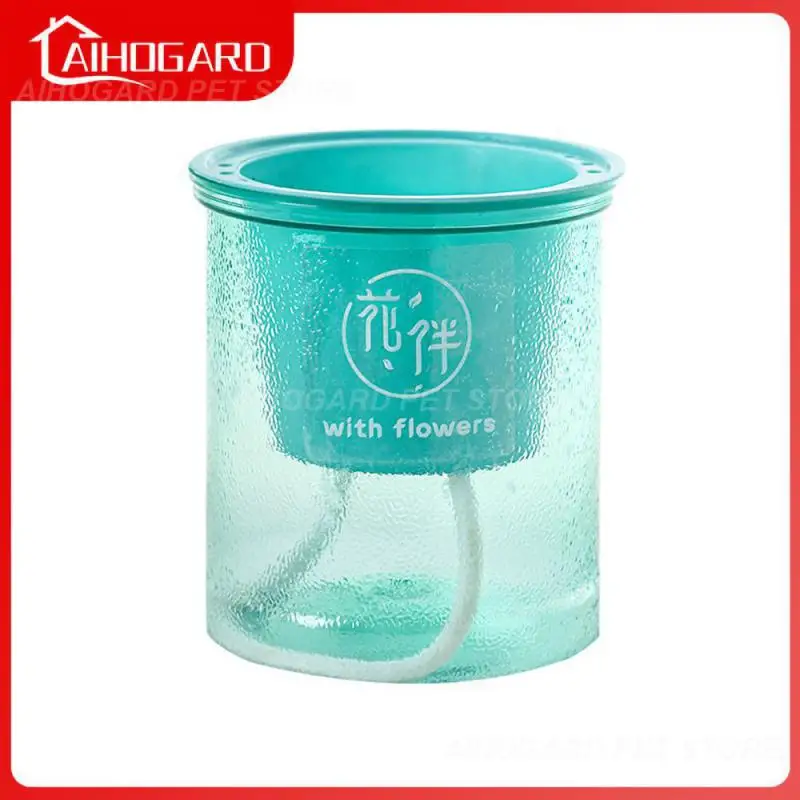 

Small Flowerpot Plastic Transparent Flowerpot Automatic Watering Automatic Watering Flowerpot Breeding Supplies Transparent