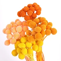 20pcs yellow billy ball bouquet natural dried flowers golden for wedding party living room bedroom cafe diy decoration