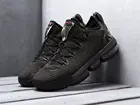 Кроссовки Nike Lebron XVI Low Зеленый Демисезон Мужской