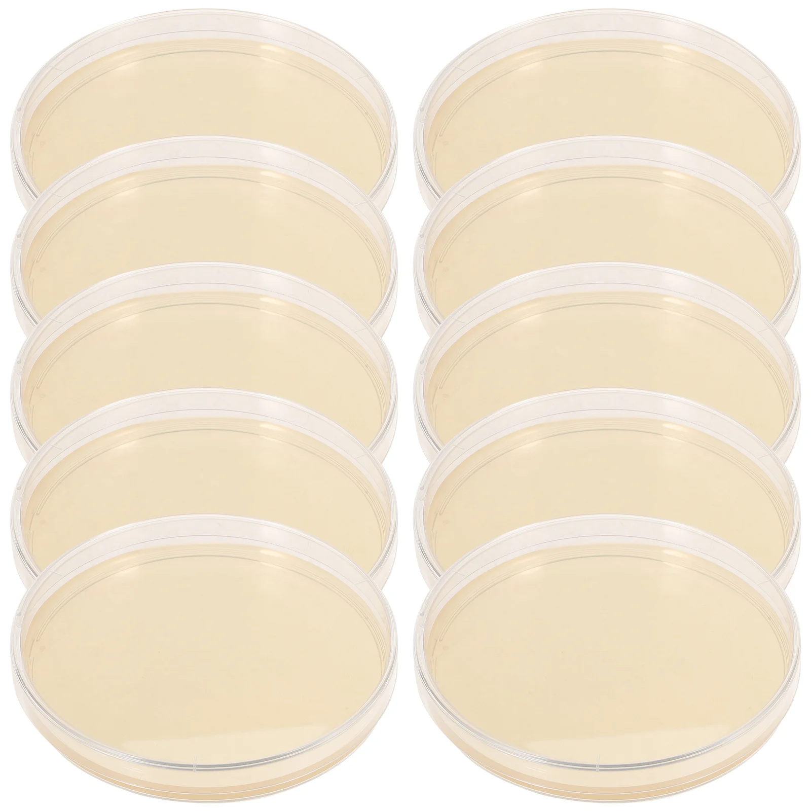

10 Pcs Nutrient Agar Plate Plates Experiment Plastic Plants Malt Extract Prepoured Petri Dishes Child Glass