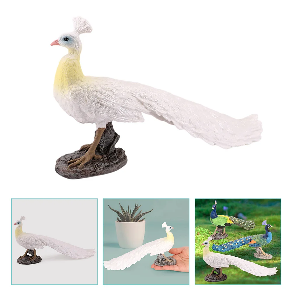 

Model Kids Decoration Ornament Kids Cognitive Model