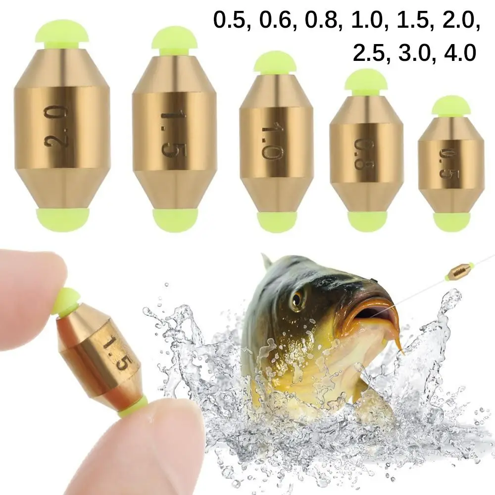 

Fishing Weight Sinker 0.5# - 4.0# Slip Shot Sinkers Carp Fishing Accessories