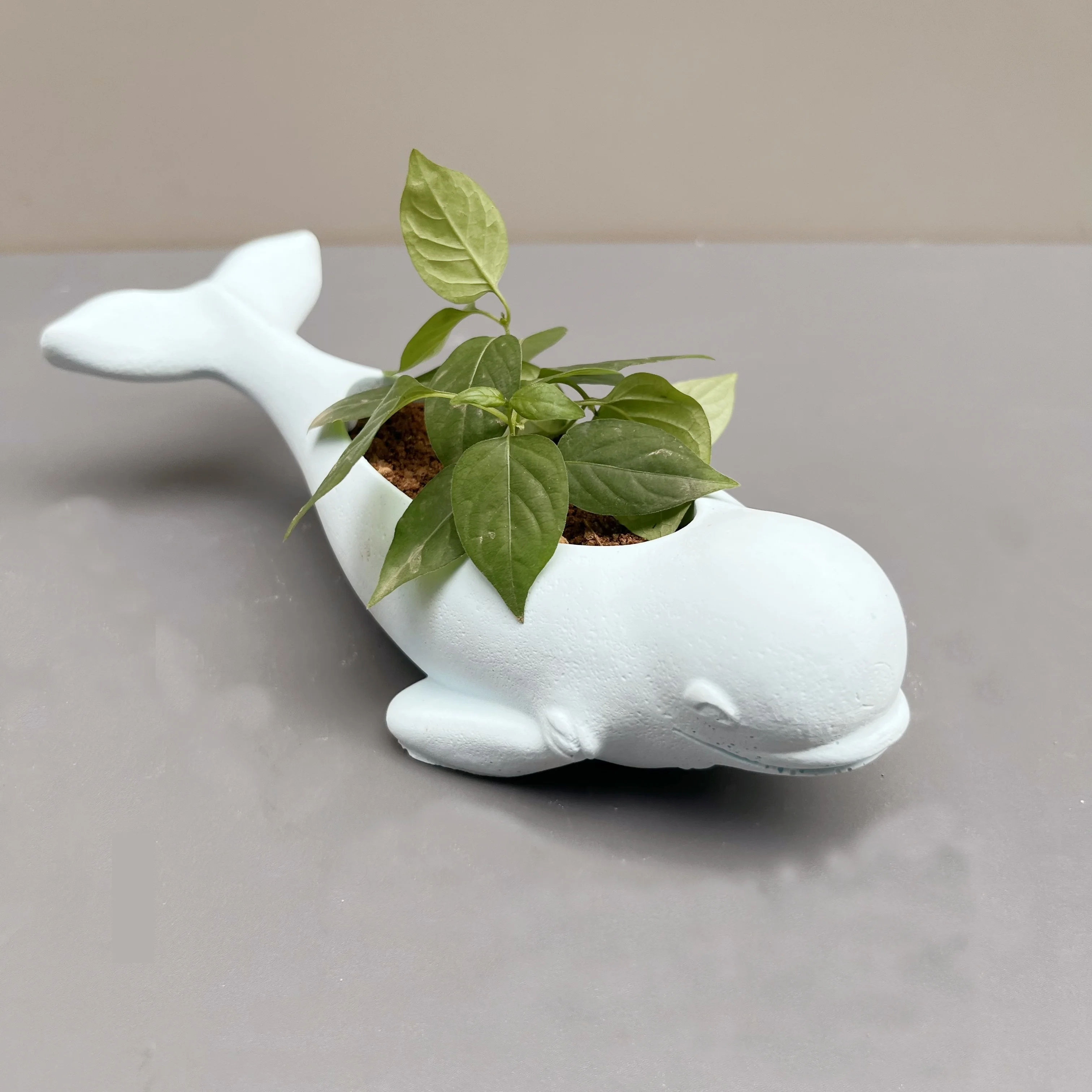 Большой Силиконовый Цветочный Горшок Белужный Кит Сочный Держатель Подсвечник