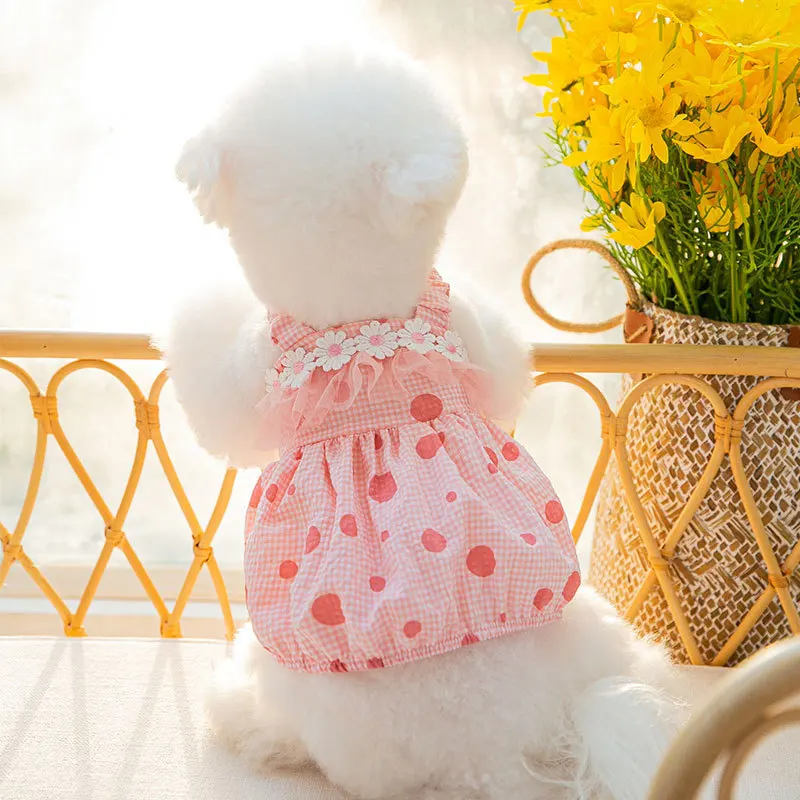

Платье для собак с тыквой, Цветочная кружевная одежда для домашних животных, одежда для собак и кошек, маленькая тонкая Милая весенне-летняя...