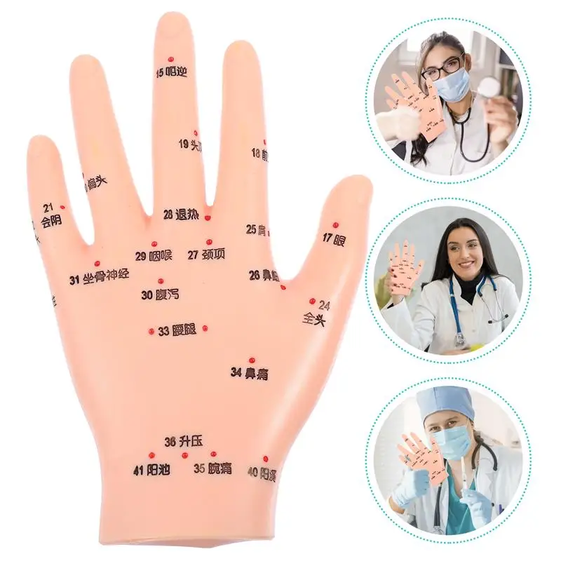 

Pediatric Left Hand Acupuncture Model Teaching Hand Acupuncture Acupoint Model