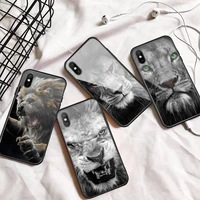 lion tiger cool animal phone case tempered glass for iphone 11 12 13 pro max mini 6 7 8 plus x xs xr