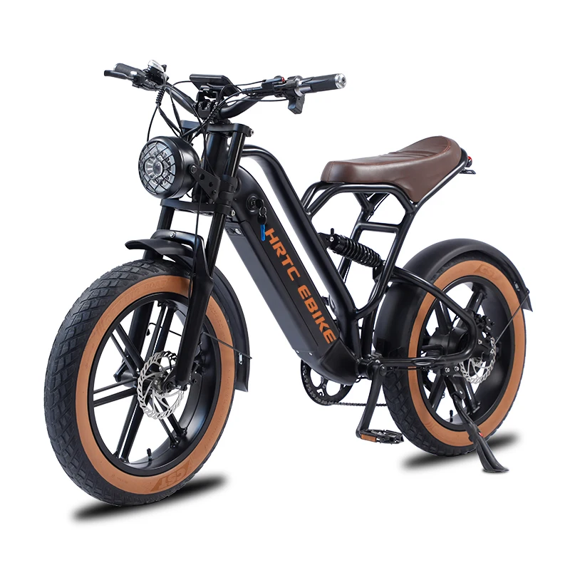 20 inch two wheel retro electric assist snow fat tire electric assist bike off-road all terrain electric dirt road atv