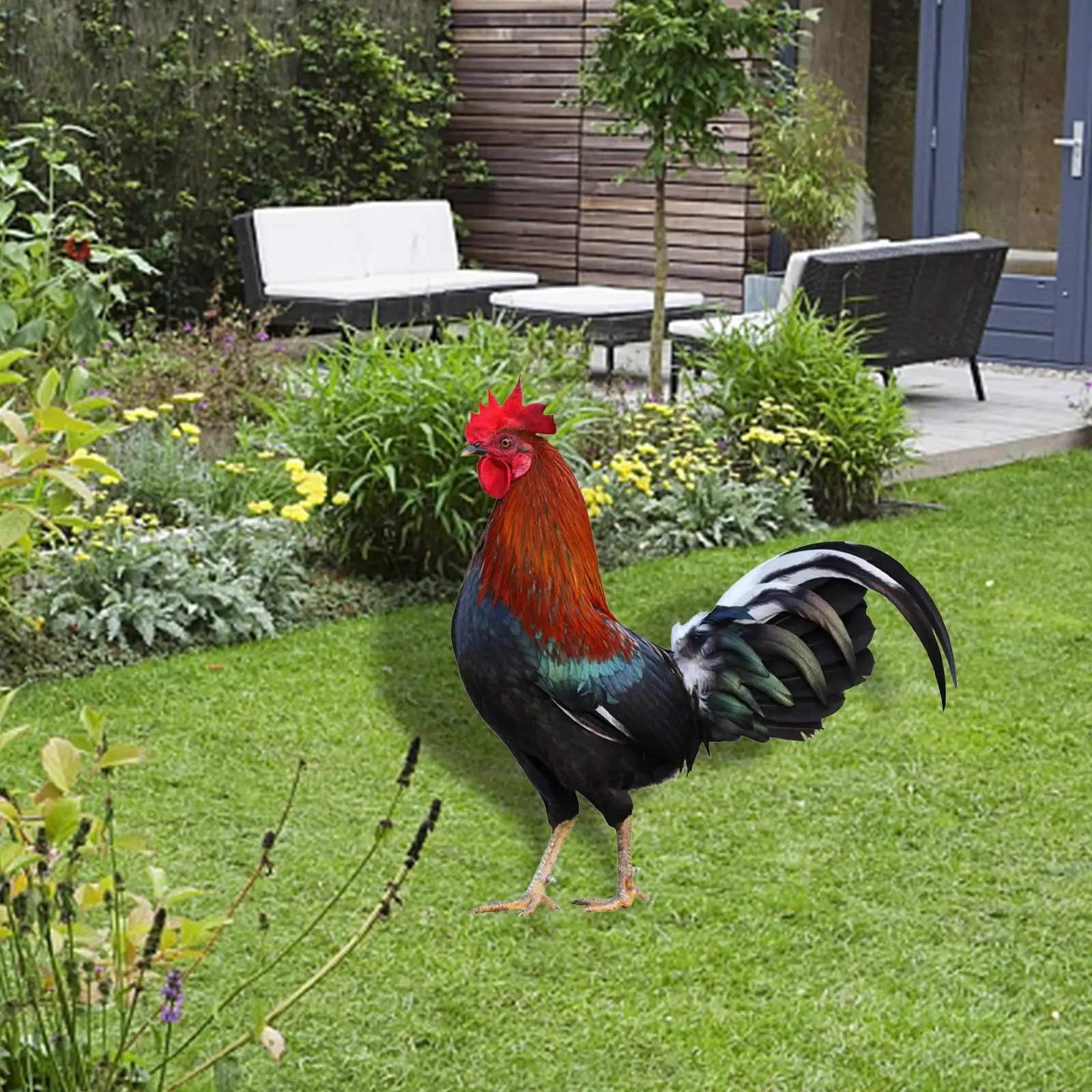

Rooster Animal Statue Stakes Lifelike Stake for Courtyard Outdoor Backyard