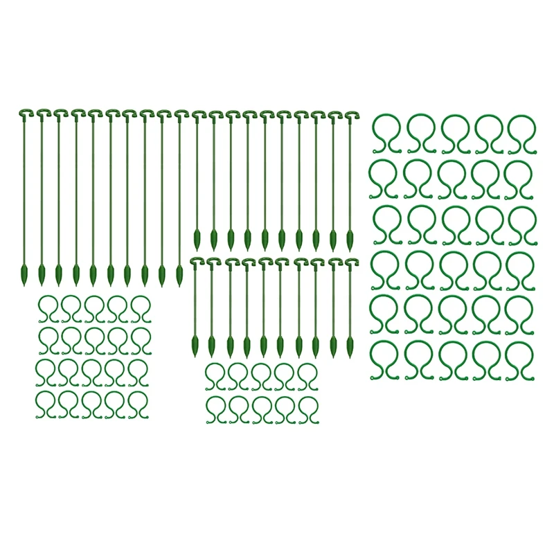 

30Pcs Plant Support Stakes Single Stem Plant Support Stakes Amaryllis Plant Cage Support Rings For Indoor Plants