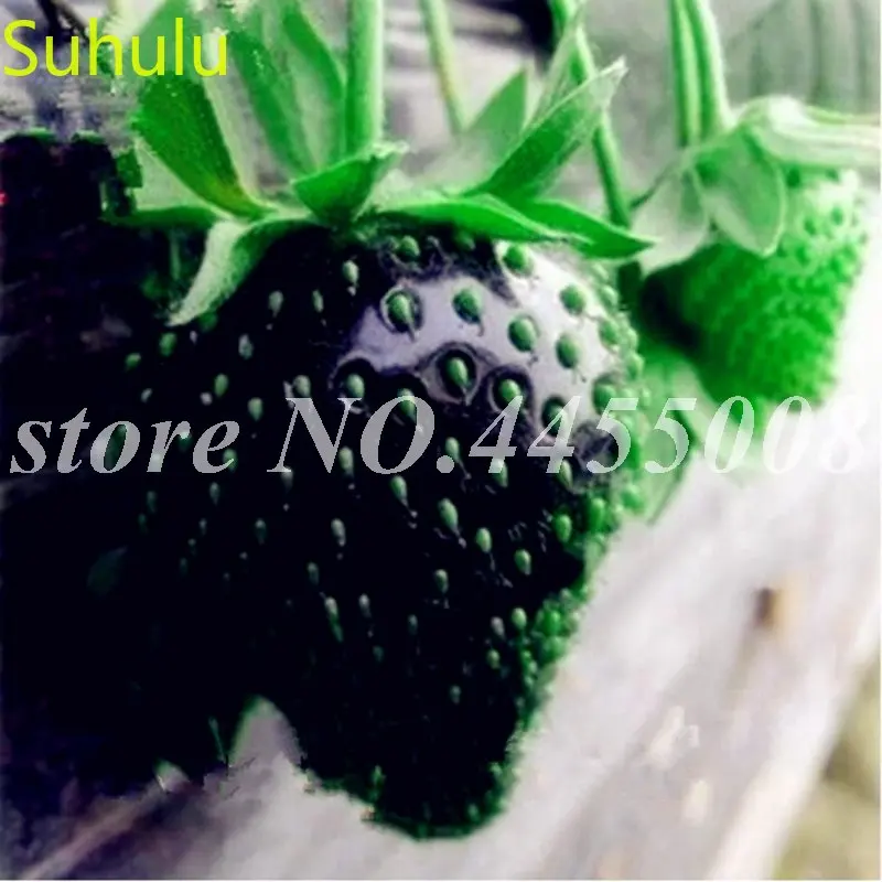 

500 шт./упаковка, семена растений