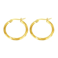 jewelry niche design light luxury simple round twisted earring fashion geometric new titanium steel stud earrings