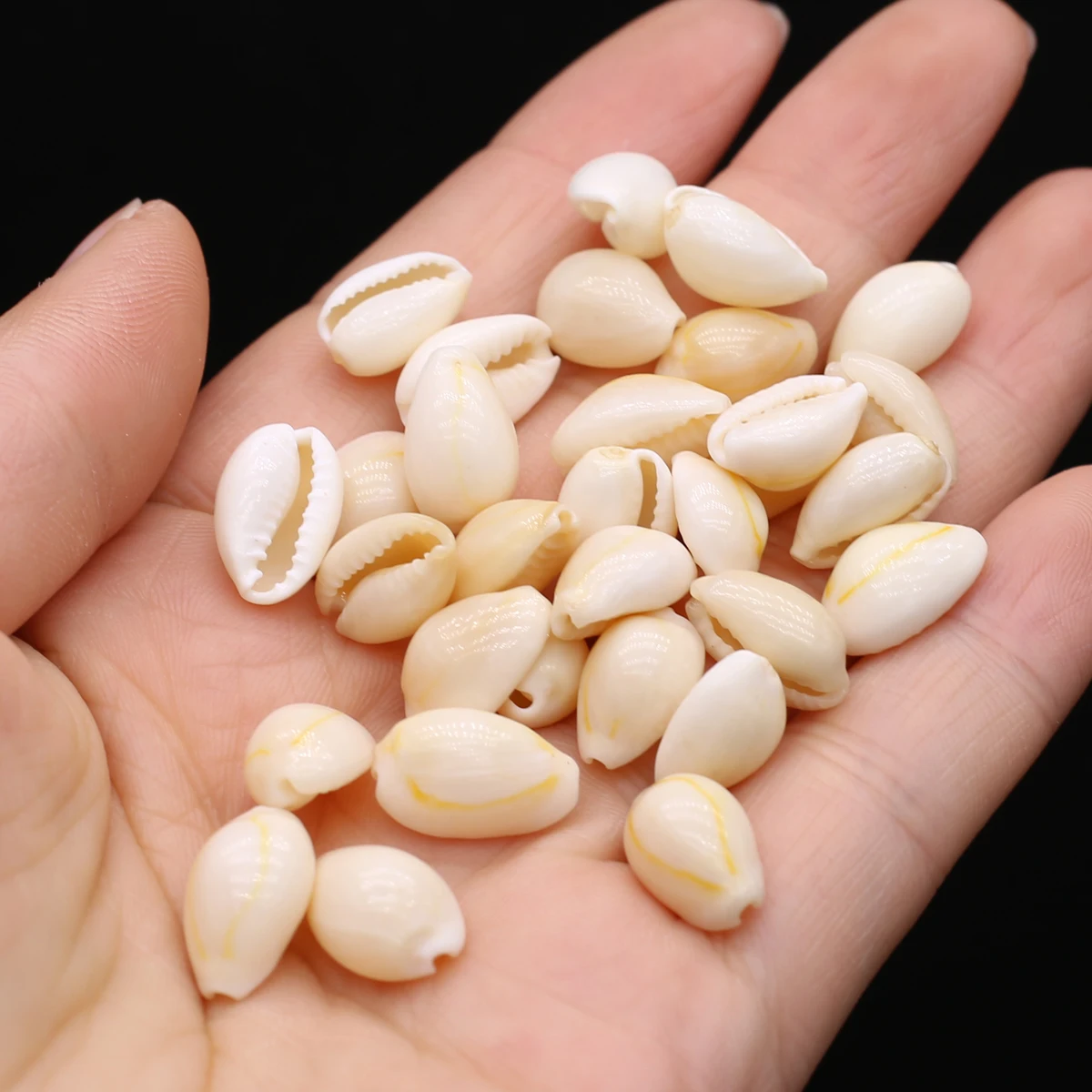 

Natural Shell Conch Beads Cowry Cowrie Loose Spacer Bead for Jewelry Making Bohemian Bracelet Crafts Anklet Crafts Accessories