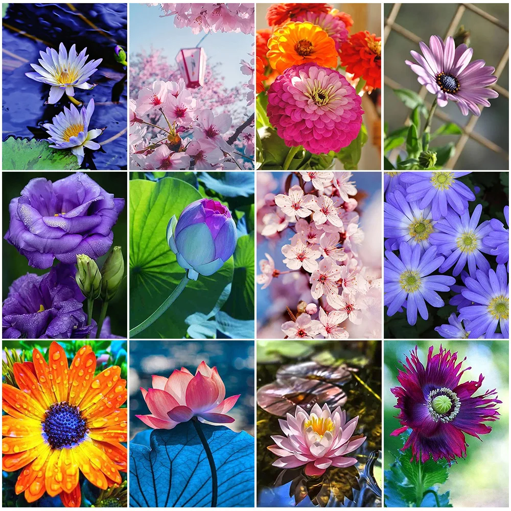 

5D DIY Diamond Painting Flower Full Diamond Cartoon Color Cross Stitch Mosaic Set Exquisite Home Art Decoration Painting Gift