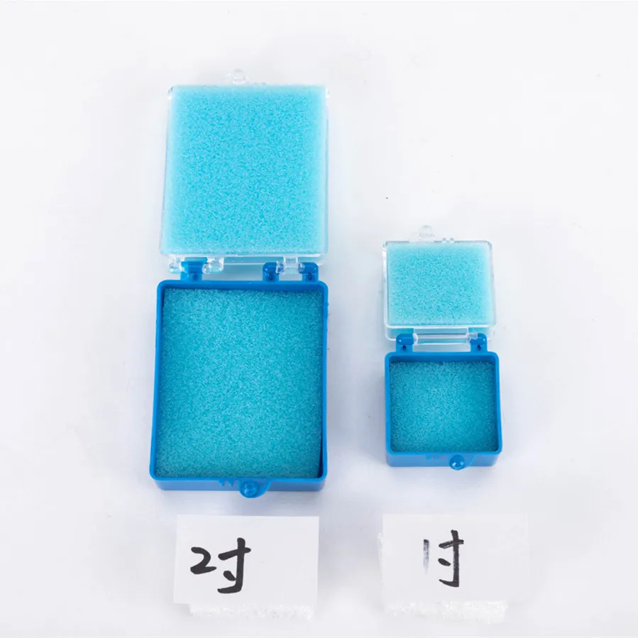 

SKYLUN 10pcs Premium Tooth Box Plastic Blue Dental Crown Boxes with Sponge