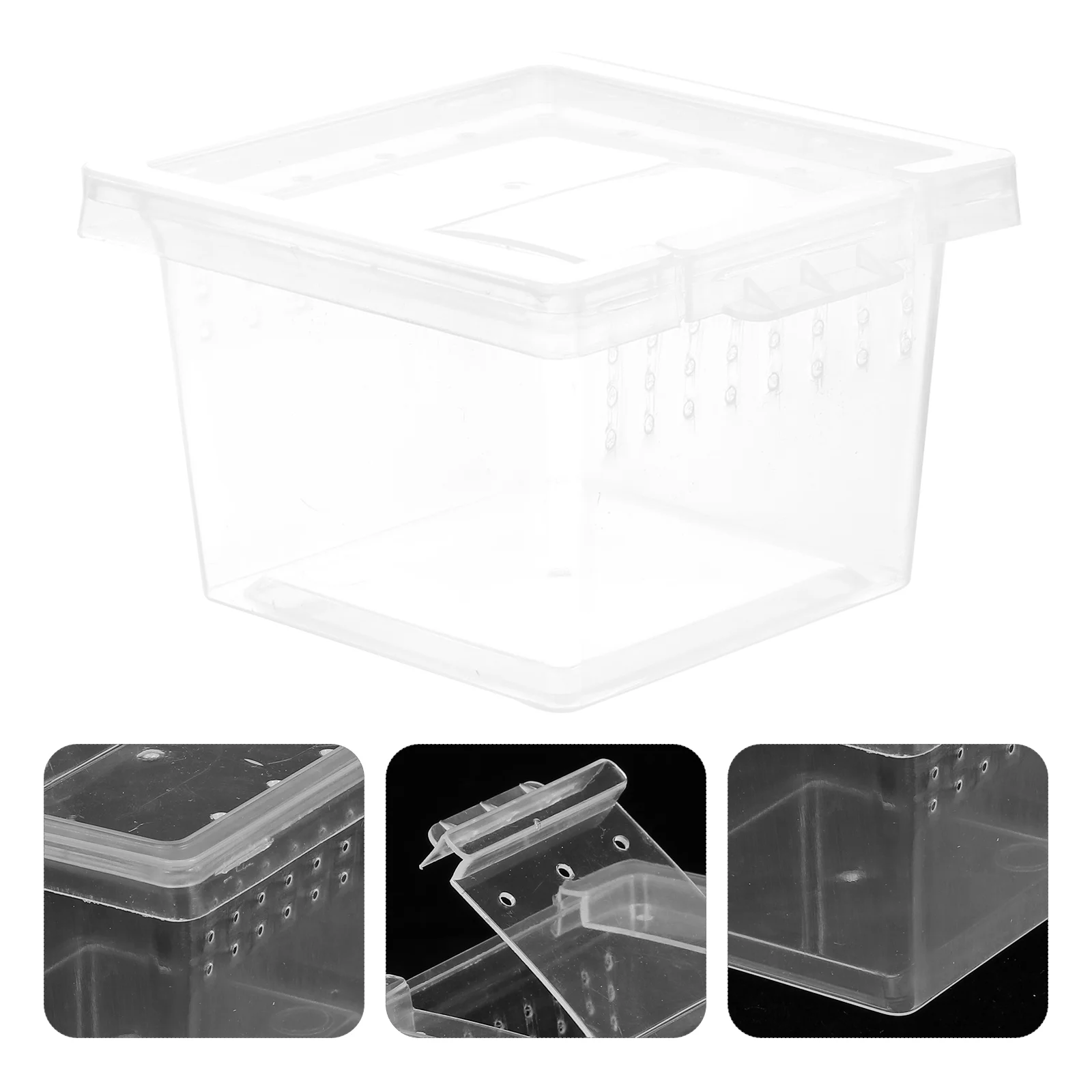 

1 Pc Practical Portable Clear Durable Feeding Box Reptile Feeding Terrarium for Shop Office