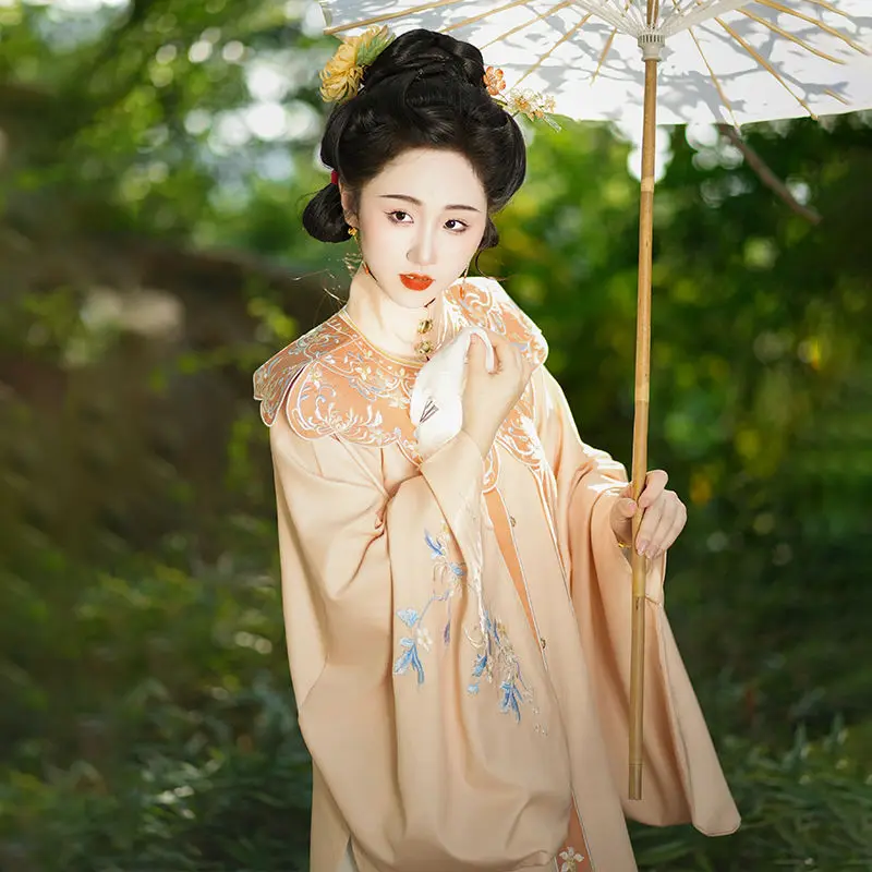 Оригинальная китайская династия Мин Женская юбка ханьфу с лошадью вышивкой в