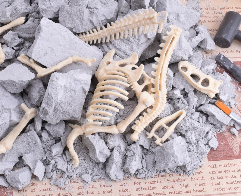 

Simulation Dinosaur of Fossils Archaeological Toys DIY Handmade Creative Toys Dinosaur Fossils Early Education Toys Kids Gifts
