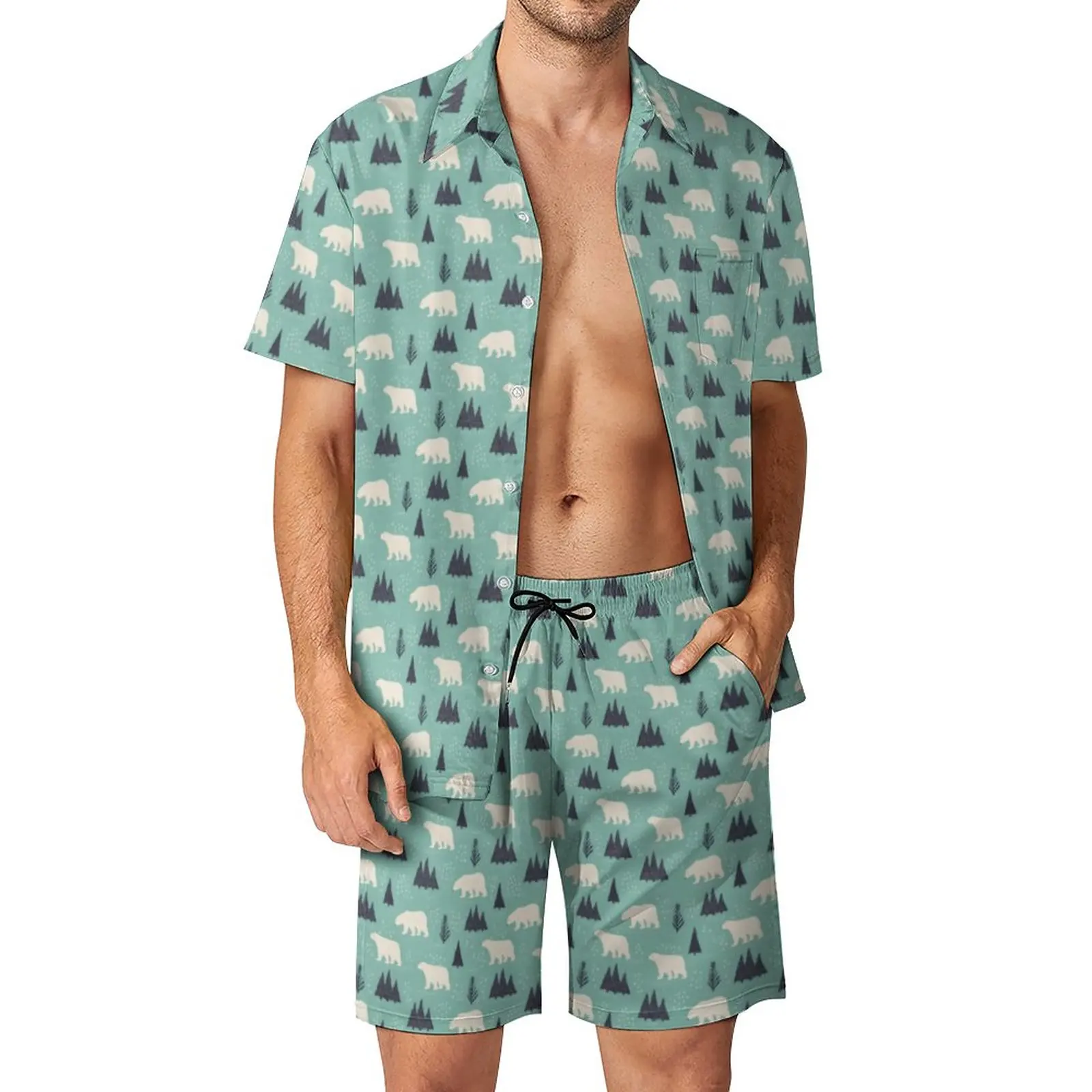 

Arctic Animal Print Beach Men Sets Cute Polar Bears Casual Shirt Set Summer Printed Shorts 2 Piece Aesthetic Suit Big Size