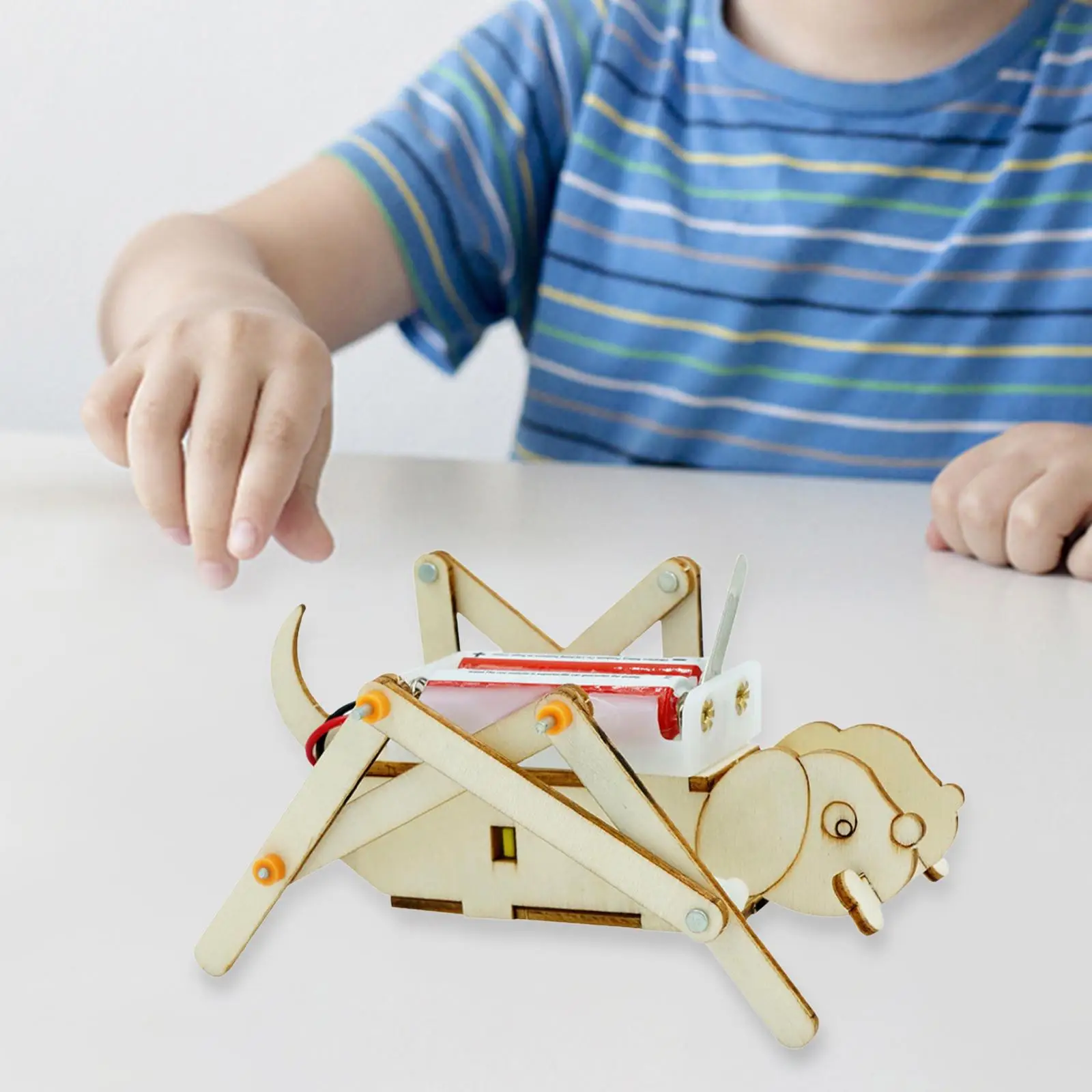 Набор деревянных моделей сделай сам научный набор обучающая игрушка деревянный