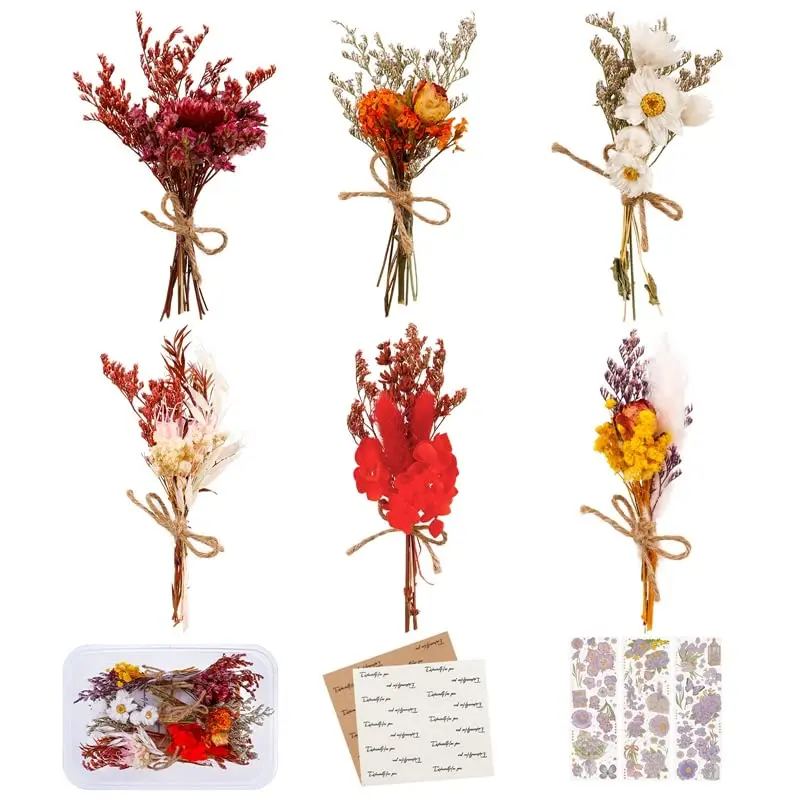 

Mini Dried Flowers Bouquet, Mixed Natural Dried Flowers Gypsophila Bouquets for Crafts DIY Card Photo Props Home Wedding Decor
