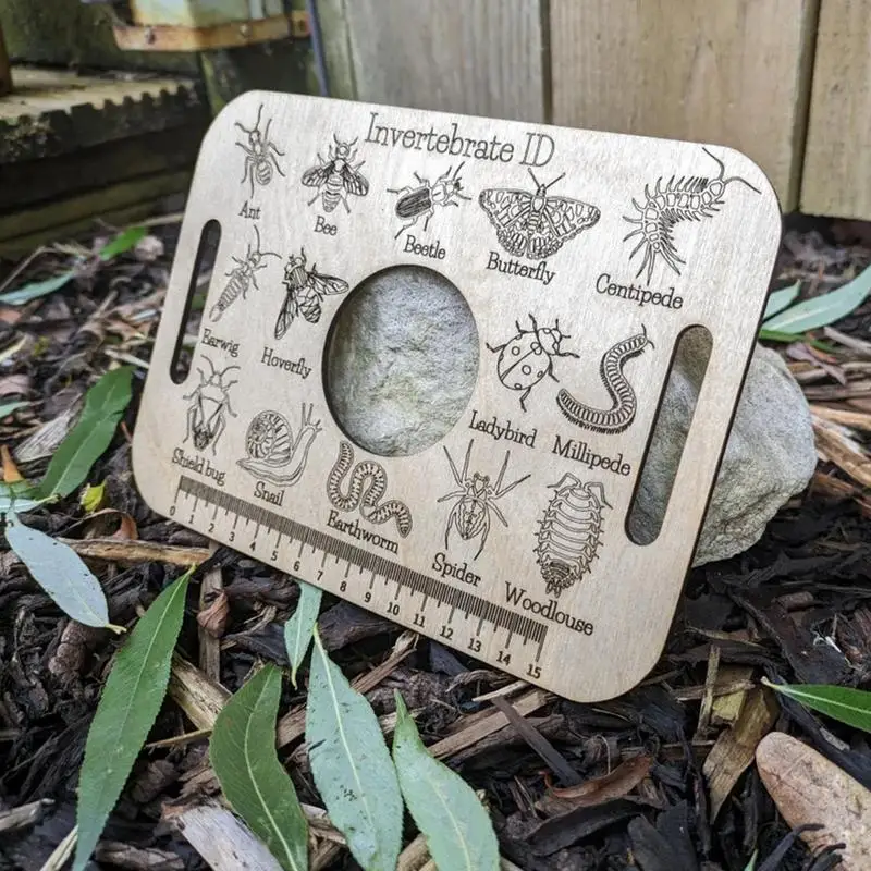 Линейка для идентификации животных обучающая научная линейка уличный